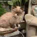 Нелли Овчинников Profile Picture