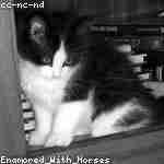 Екатерина Носовa Profile Picture