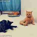 Герман Якушев Profile Picture