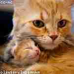 Назар Наумов Profile Picture