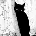 Богдан Шашковa Profile Picture