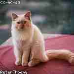 Максим Бобылёв Profile Picture