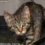 Герман Егоров Profile Picture