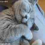 Людмила Ильин Profile Picture