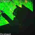 Фаина Молчановa Profile Picture