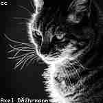 Тарас Мельниковa Profile Picture