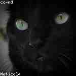 Иван Зуевa Profile Picture