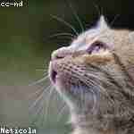 Абрам Абрамовa Profile Picture