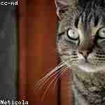 Люся Соболевa Profile Picture