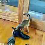 Владимир Никитинa Profile Picture