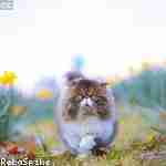 Зоя Афанасьев Profile Picture