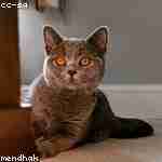 Жанна Белоусов Profile Picture