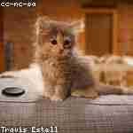 Раиса Горбуновa Profile Picture