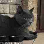 Валентина Тарасов Profile Picture