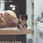 Владимир Трофимов Profile Picture